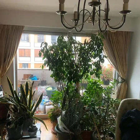Nuage 15 Appartement *
